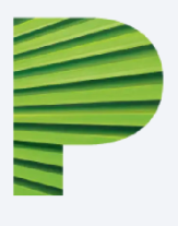 GRUPO PALMA 